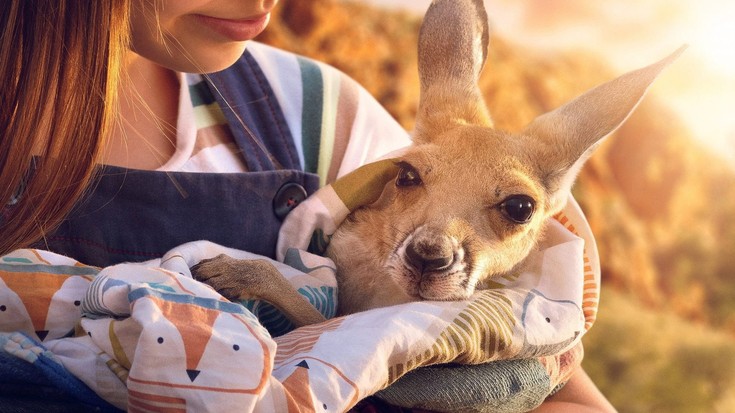 Kangaroo: una aventura en Australia