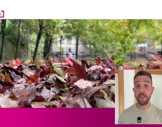 Giro freskoagoa izango dugu asteburuan
