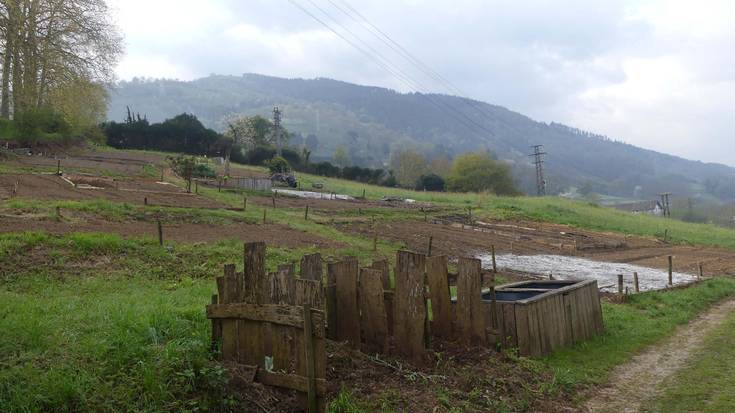 Baratza ekologikoen parkean partzelak eskatzeko aukera berria zabalik