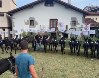 Asto ederrenak Asteasuko azokan izan dira