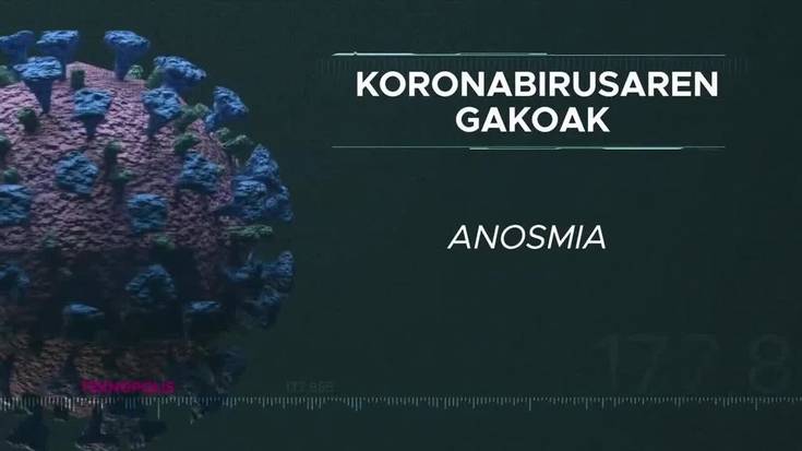 Koronabirusaren gakoak: Anosmia