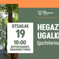 Hegazkien ugalketa (gaztelaniaz)