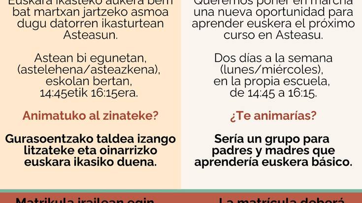 Euskara ikasteko aukera berri bat jarriko da martxan