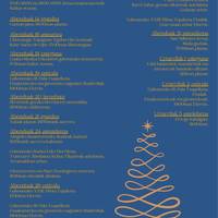 Gabonetako kultur egitaraua