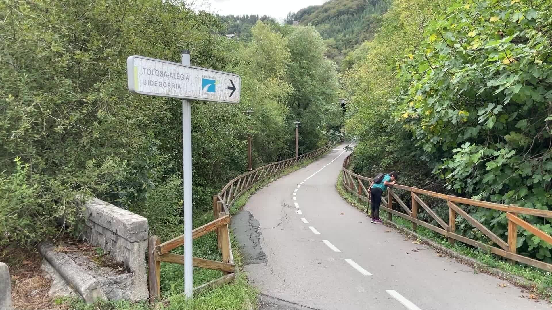 Alegia eta Tolosa arteko bidegorrian aldizkako mozketak egingo dituzte