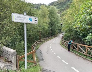Alegia eta Tolosa arteko bidegorrian aldizkako mozketak egingo dituzte