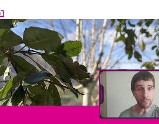 Giro eguzkitsua eta beroa astebururako