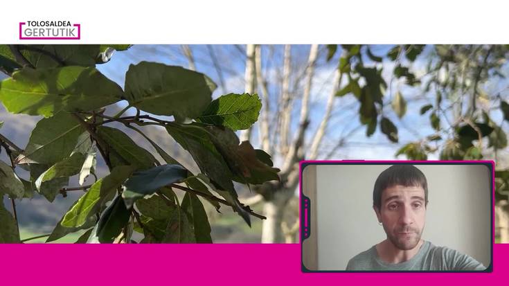 Giro eguzkitsua eta beroa astebururako