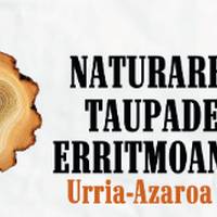 Naturaren taupaden erritmoan