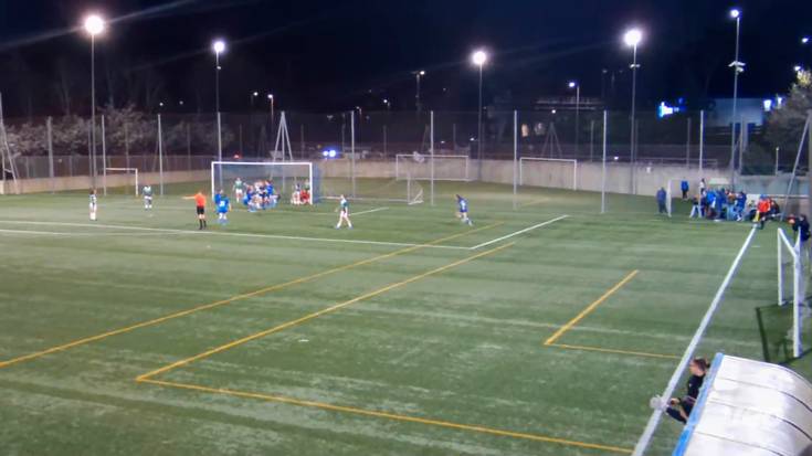 Ametsak bizirik darrai