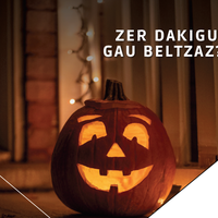 Zer dakigu gau beltzaz?