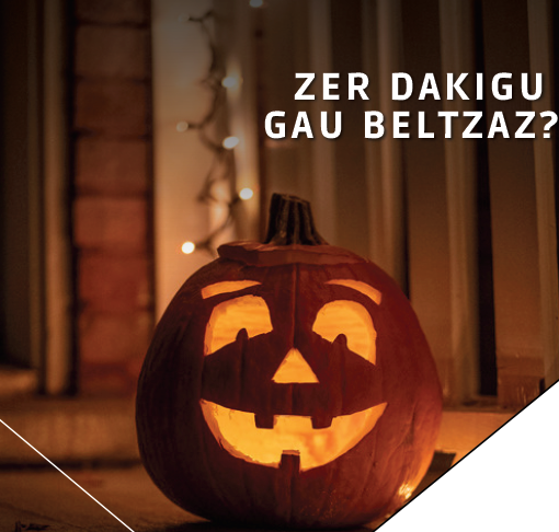 Zer dakigu gau beltzaz?