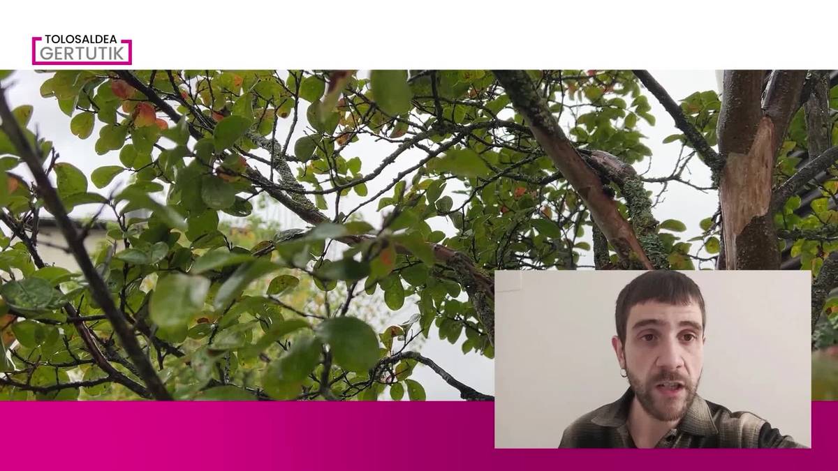 Negu itxura hartuko du eguraldiak asteburuan