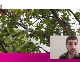 Negu itxura hartuko du eguraldiak asteburuan