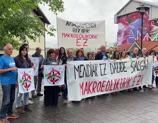 Amasa-Villabonako Udalak proiektu eolikoaren aurrean duen jarrera kritikatu du Amasamendi Bizirik-ek