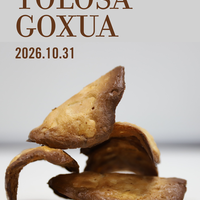 Tolosa Goxua