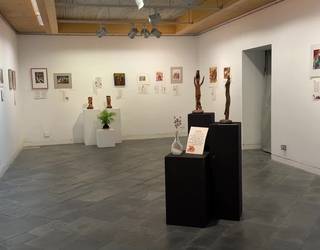 “Irudiak eta mezuak” erakusketa ikusgai dago Aranburu Jauregian martxoaren 7ra arte