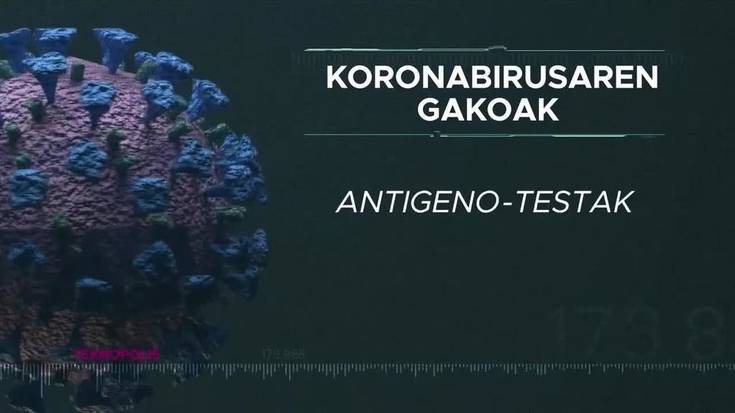 Koronabirusaren gakoak: Antigeno-testak