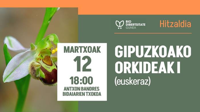 Gipuzkoako orkideak I