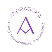 Andragoraren aurkezpena