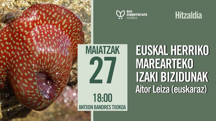 Euskal Herriko marearteko izaki bizidunak
