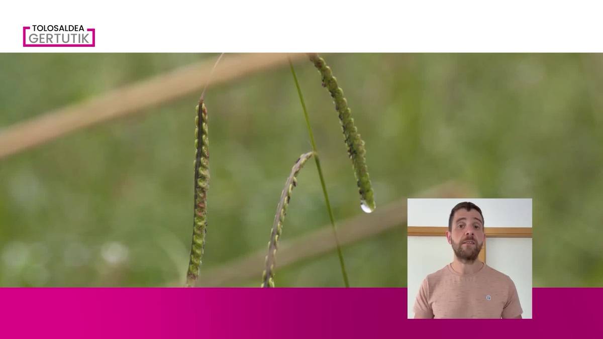 Iker Ibarluzea: "Eguraldi triste samarra nagusituko zaigu asteburu honetan"