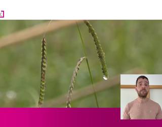 Iker Ibarluzea: "Eguraldi triste samarra nagusituko zaigu asteburu honetan"