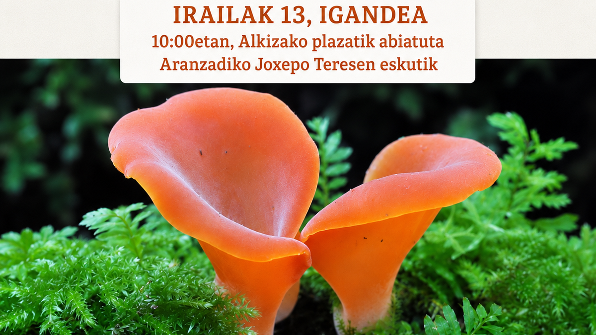 Ibilbide gidatua