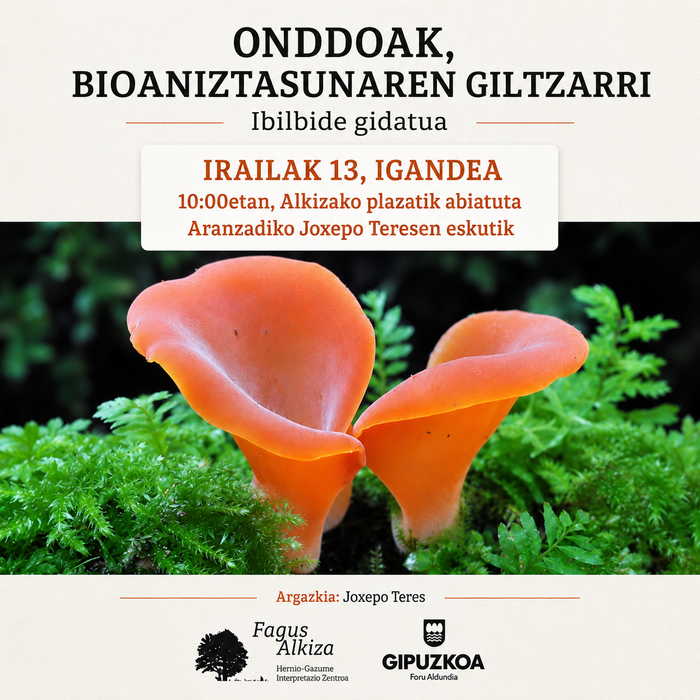 Ibilbide gidatua
