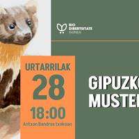 Gipuzkoako mustelidoak