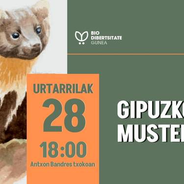 Gipuzkoako mustelidoak