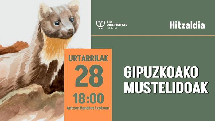 Gipuzkoako mustelidoak