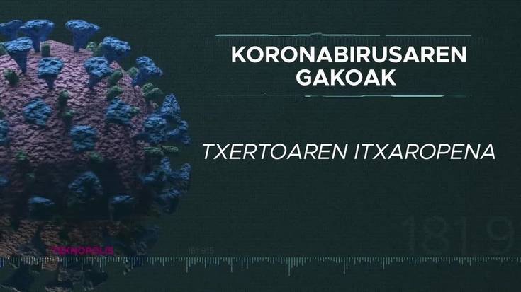 Koronabirusaren gakoak: Txertoaren itxaropena