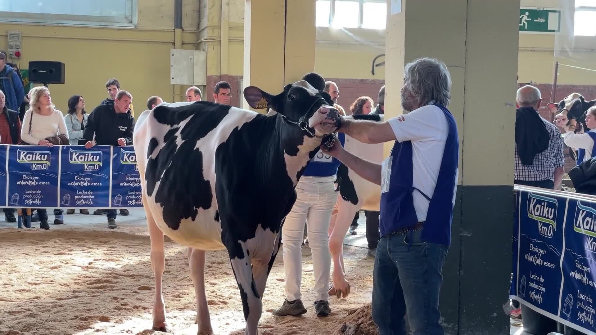 Euskal Herriko XV. Frisoi Txapelketa egin dute Ferialekuan