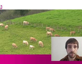 Eguraldiak hobera egingo du asteburuan