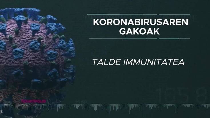 Koronabirusaren gakoak: Talde immunitatea