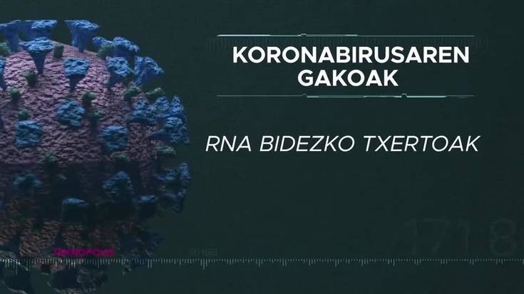 Koronabirusaren gakoak: RNA bidezko txertoak