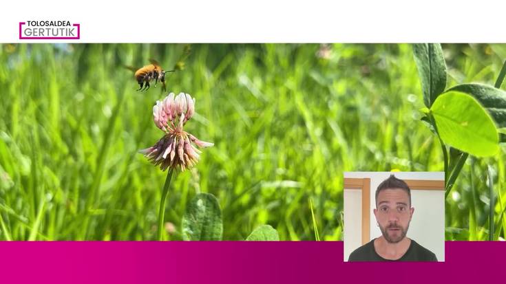 Iker Ibarluzea: "Asteburuan bero zakarra izango da hizpide"
