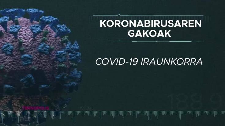 Koronabirusaren gakoak: Covid 19 iraunkorra