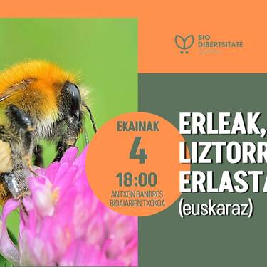Erleak, liztorrak eta erlastarrak II